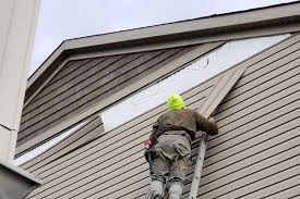 Best Historical Building Siding Restoration  in , AR